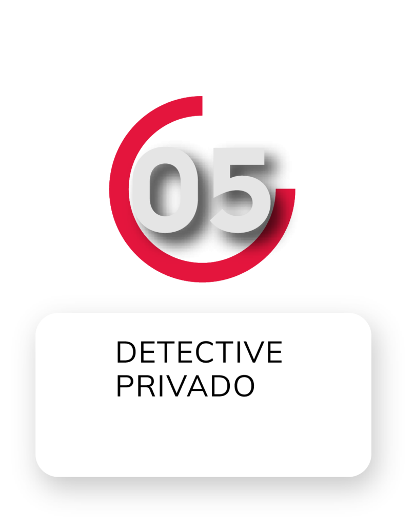 Icono detective privado
